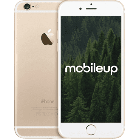 iPhone 6