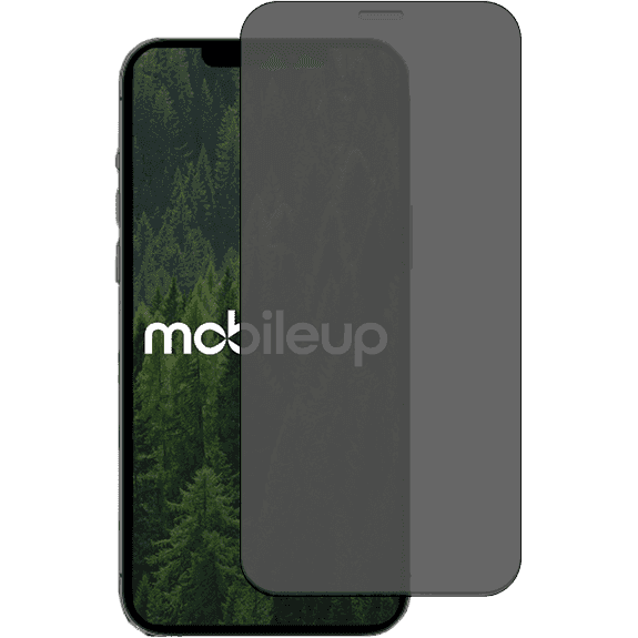 Privacy Displayschutz iPhone XS Max / 11 Pro Max