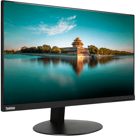 Lenovo ThinkVision T24i-10 23.8" FHD | Schwarz | Gut