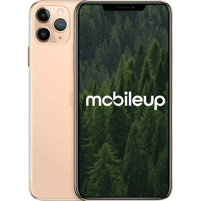 iPhone 11 Pro Max | Gold | Gut | Single SIM + eSIM | 256 GB