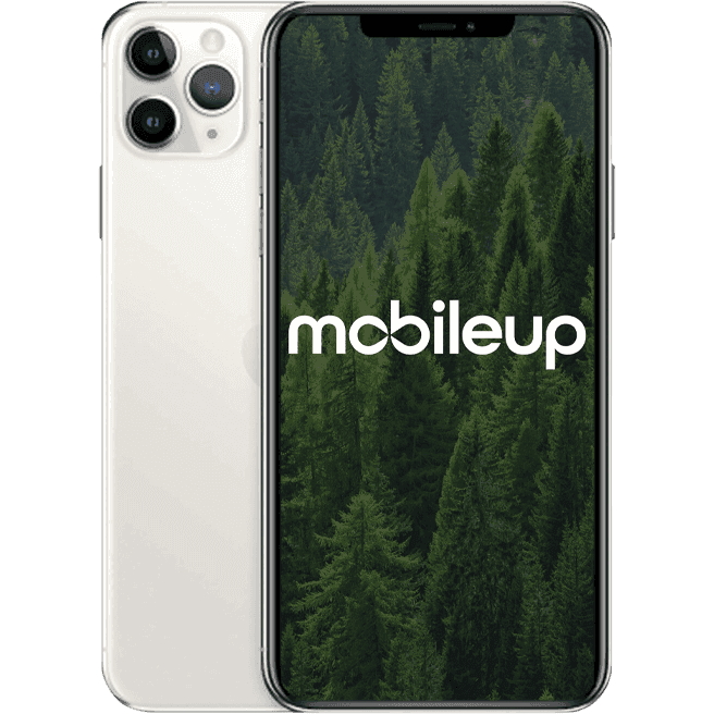 iPhone 11 Pro Max | Silber | Gut | Single SIM + eSIM | 256 GB