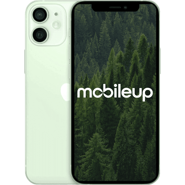 iPhone 12 | Grün | Gut | Single SIM + eSIM | 128 GB