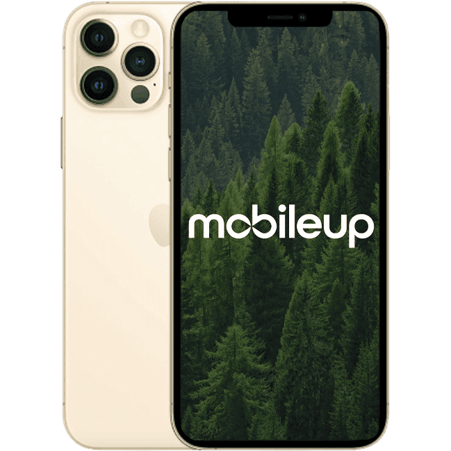 iPhone 12 Pro