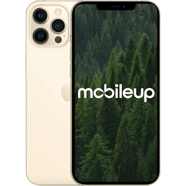 iPhone 12 Pro Max | Gold | Wie neu | Single SIM + eSIM | 512 GB