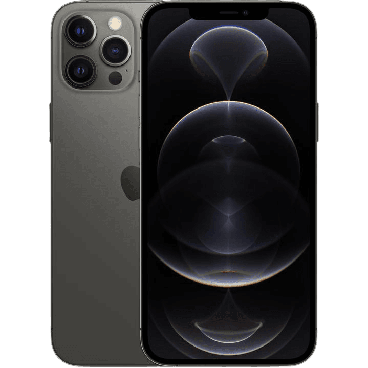 iPhone 12 Pro Max | Grau | Gut | Single SIM + eSIM | 256 GB