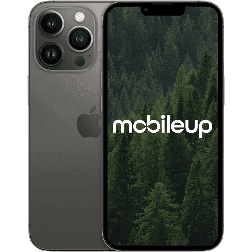 iPhone 13 Pro | Grau | Wie neu | Single SIM + eSIM | 1000 GB