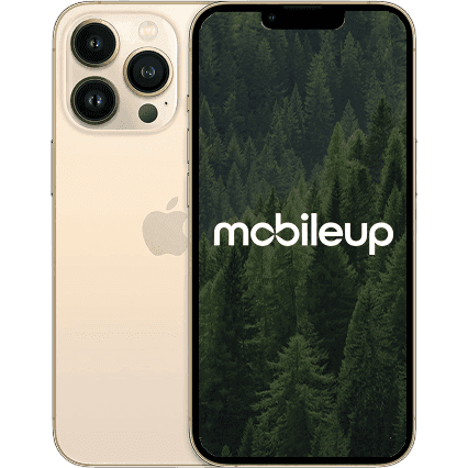 iPhone 13 Pro Max | Gold | Sehr gut | Single SIM + eSIM | 512 GB