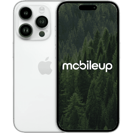 iPhone 14 Pro Max | Silber | Wie neu | eSIM | 1000 GB