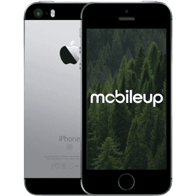 iPhone SE | Grau | Sehr gut | Single SIM | 64 GB
