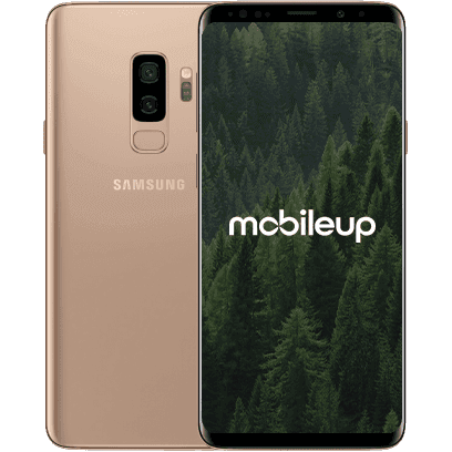 Samsung Galaxy S9 Plus | Gold | Wie neu | Single SIM | 256 GB