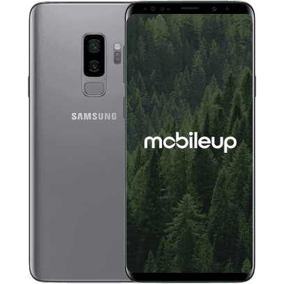 Samsung Galaxy S9 Plus | Grau | Wie neu | Single SIM | 64 GB