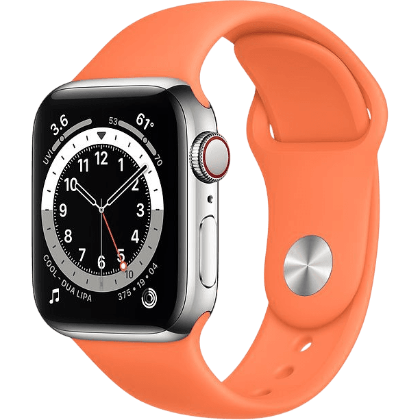 Apple Watch Series 6 (2020) | 40 mm | Silber | Gut | Edelstahl | GPS + Cellular