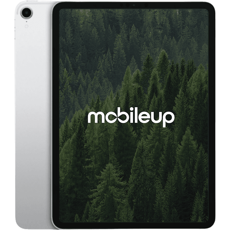 11" Apple iPad Pro 2018 (1. Gen)