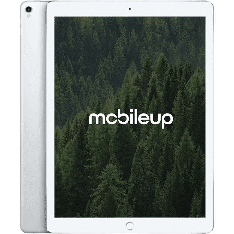 12,9" Apple iPad Pro 2017 (2. Gen) | Silber | Wie neu | LTE + WIFI | 256 GB