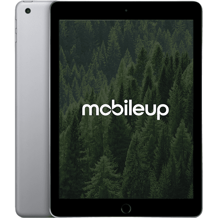 Apple iPad 2017 (5. Gen) | Grau | Wie neu | LTE + WIFI | 32 GB