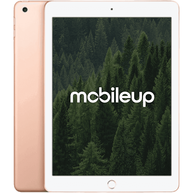 Apple iPad 2018 (6. Gen)