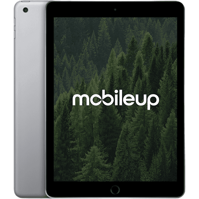 Apple iPad 2018 (6. Gen)