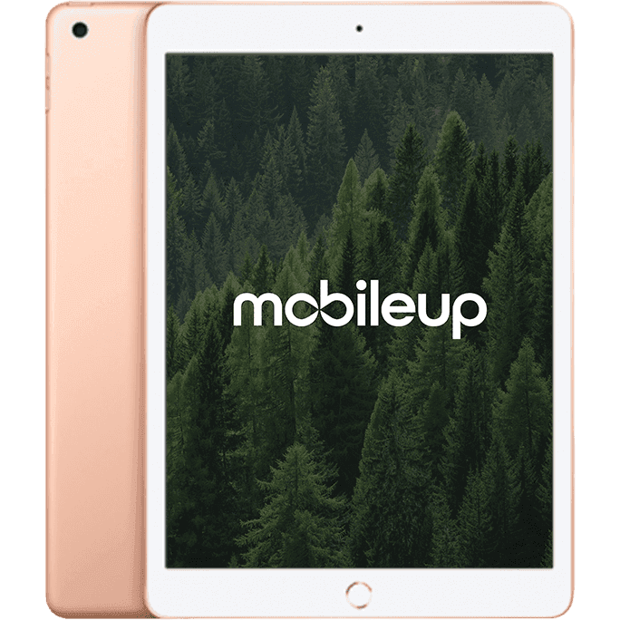 Apple iPad 2019 (7. Gen) | Gold | Wie neu | LTE + WIFI | 32 GB