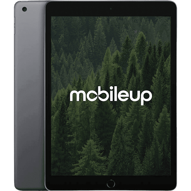 Apple iPad 2021 (9. Gen) | Grau | Sehr gut | WIFI | 256 GB