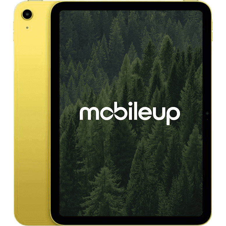 Apple iPad 2022 (10. Gen)