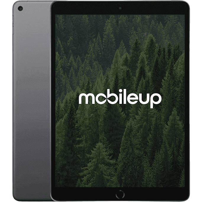 Apple iPad Air 2019 (3. Gen) | Grau | Sehr gut | LTE + WIFI | 256 GB