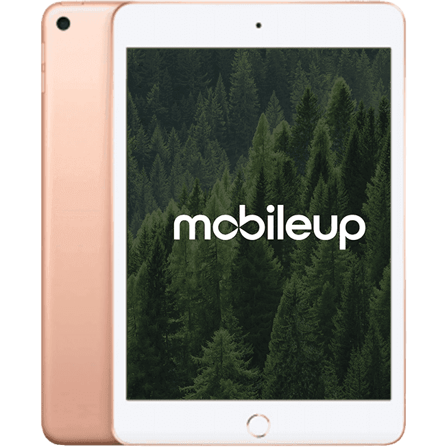 Apple iPad mini 2019 (5. Gen) | Gold | Wie neu | LTE + WIFI | 64 GB